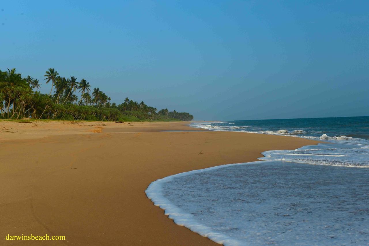 Darwins Beach Resort Tangalle Exterior photo