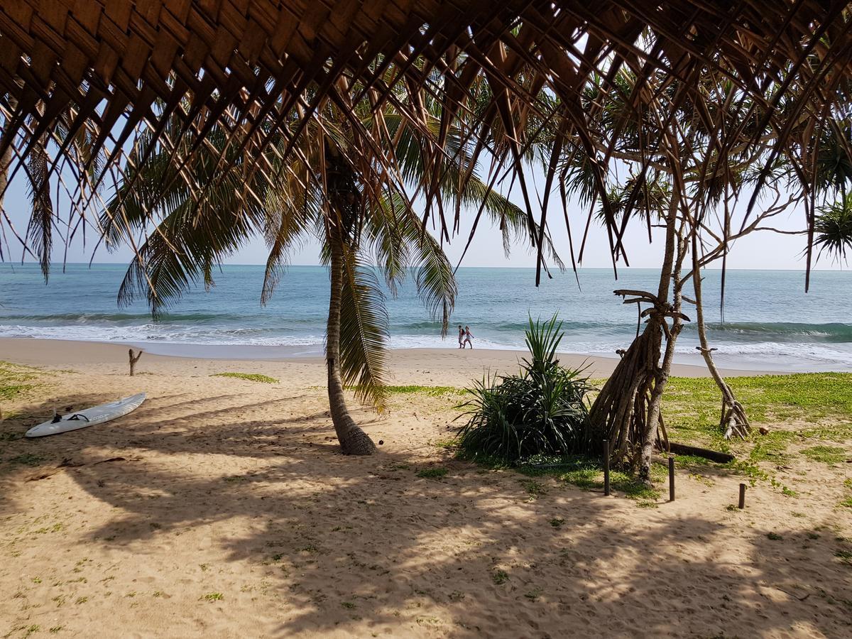 Darwins Beach Resort Tangalle Exterior photo